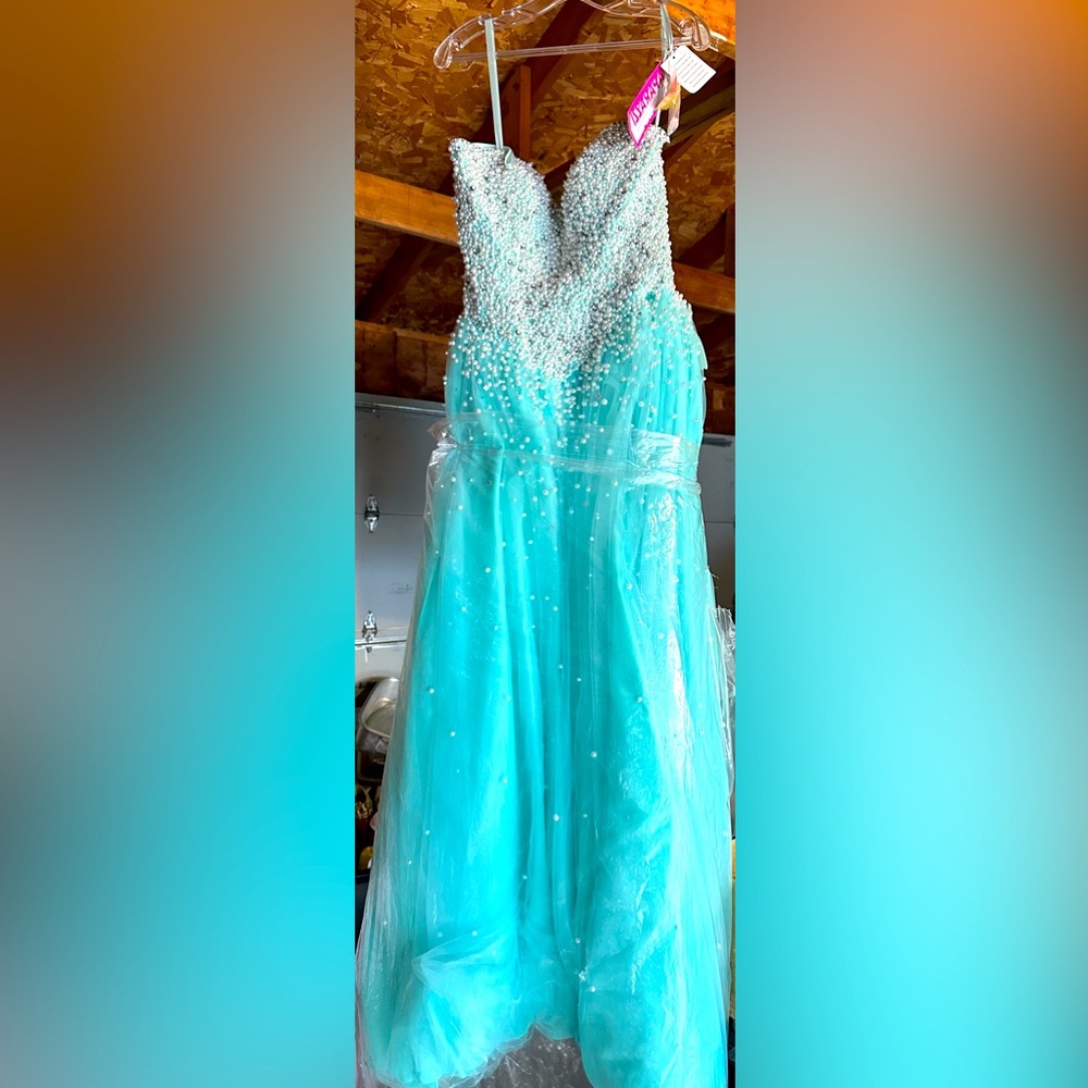Prom/Quince Dress